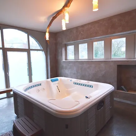 Manoir Des Ardennes Holiday home Ortheuville