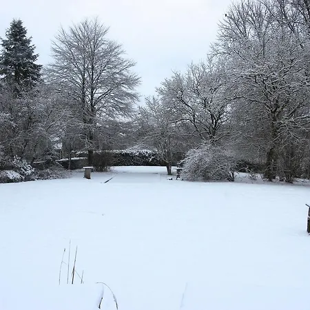 Manoir Des Ardennes Ortheuville